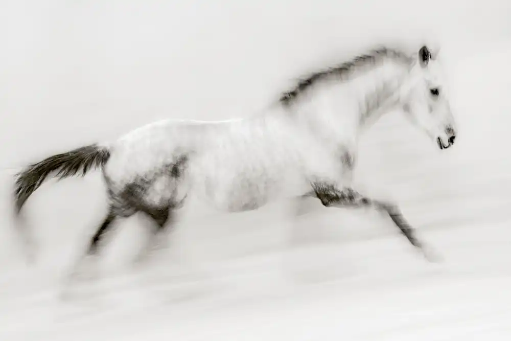 Benezech, Martine: The unique brush stroke