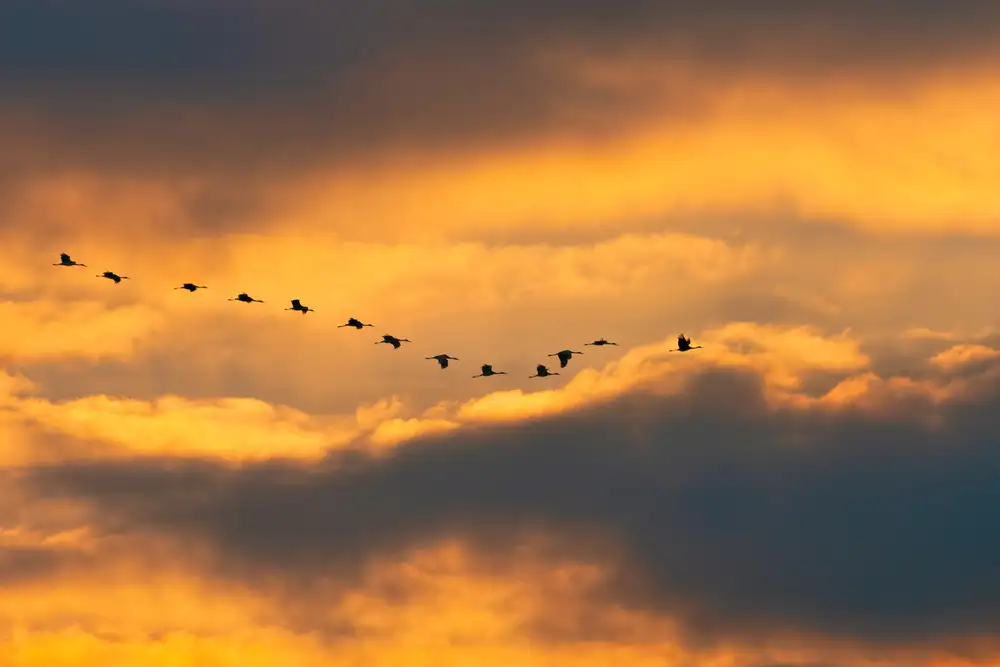 Fan, John: Den Himmel öffnen