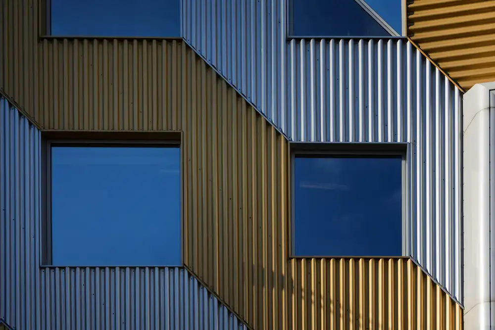 Maastricht, van Henk: Giallo e blu