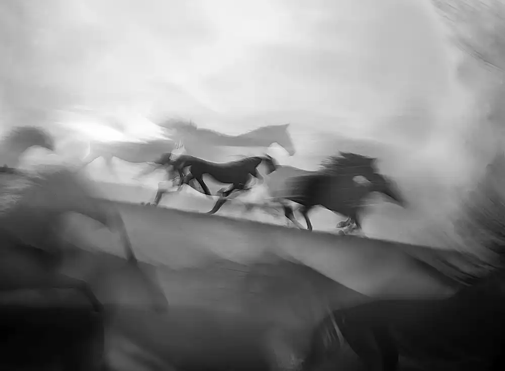 Malovrh, Milan: Beeindruckender Galopp
