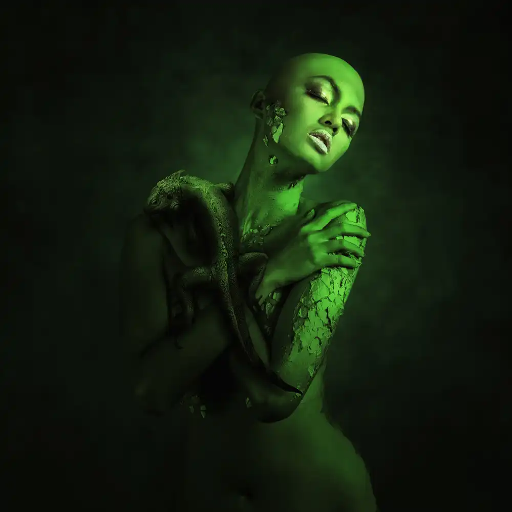 hardibudi: Karma Camaleonte
