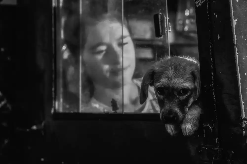 Kandilcioglu, Nisan Ummu: cane