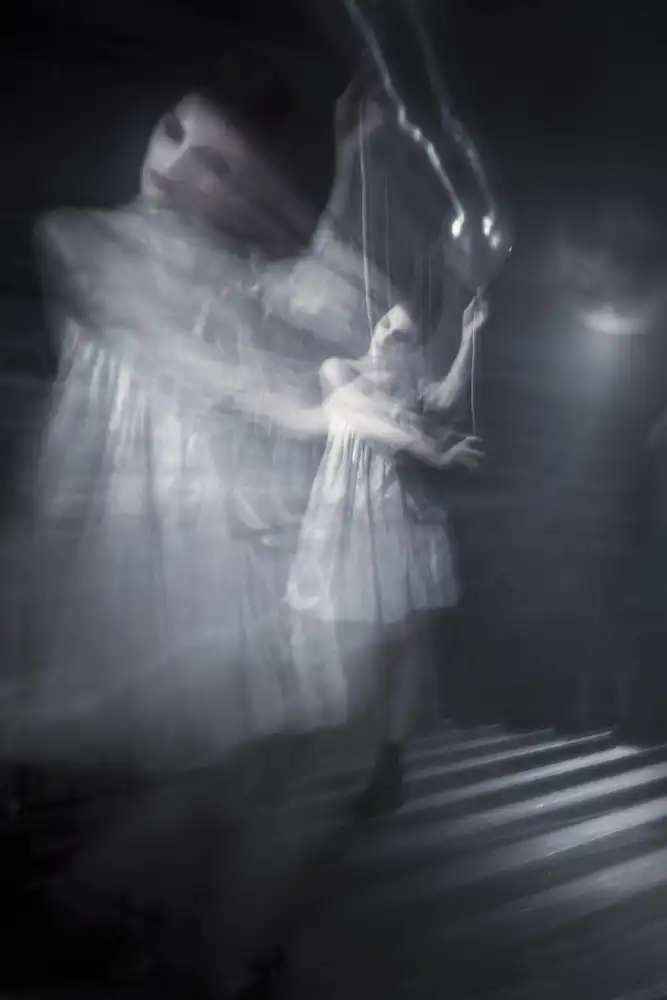 Benezech, Martine: Insomnia
