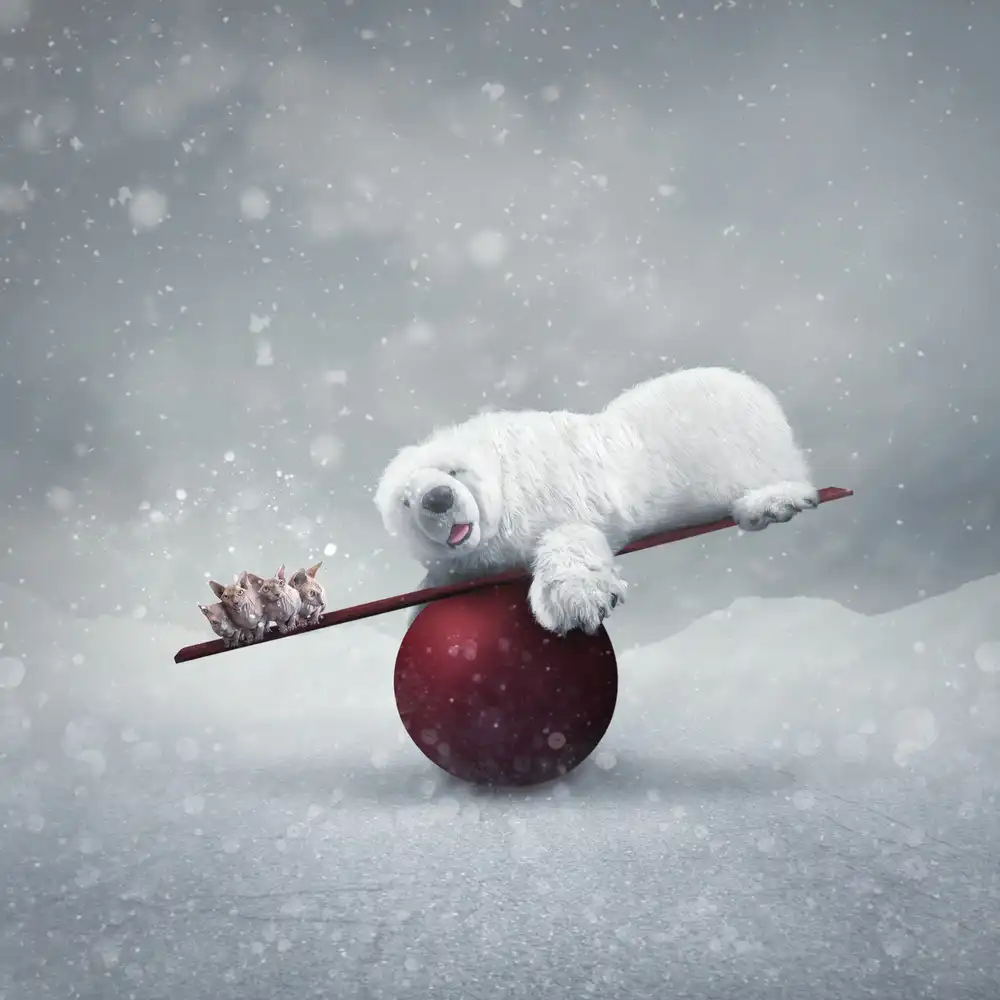 hardibudi: Des merveilles d'hiver