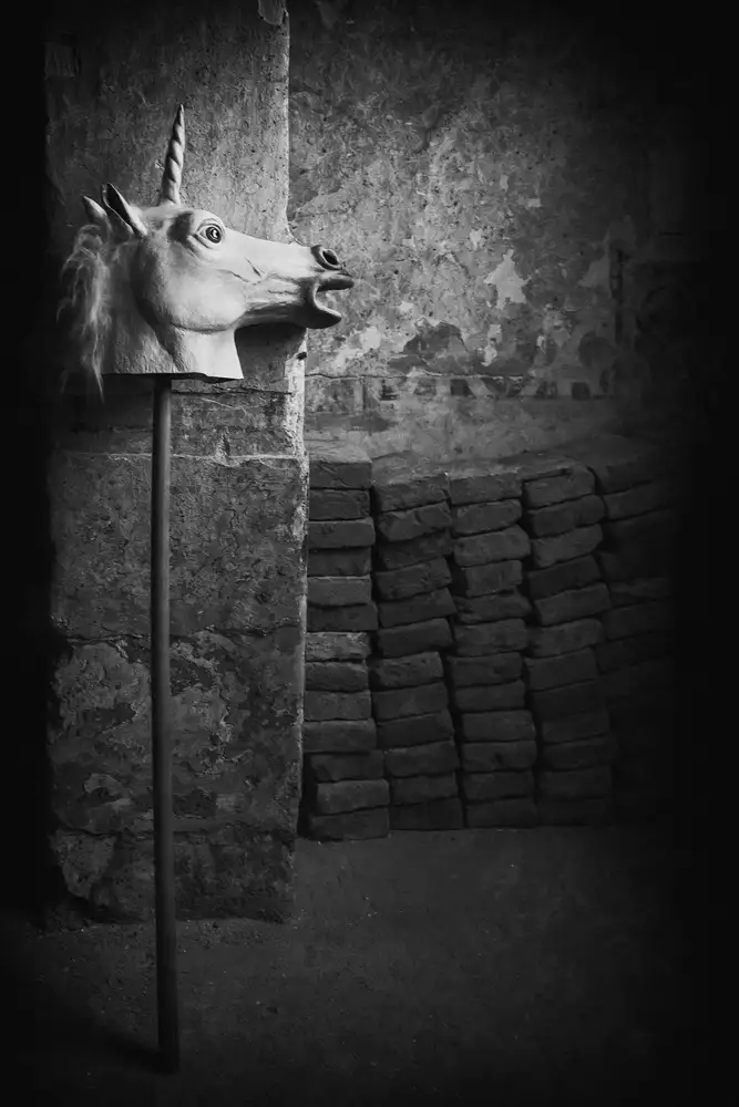 Schleicher-Schwarz, Roswitha: l'unicorno