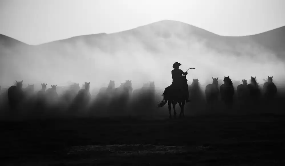 Pancareken, Yavuz: Chasing the Jades!