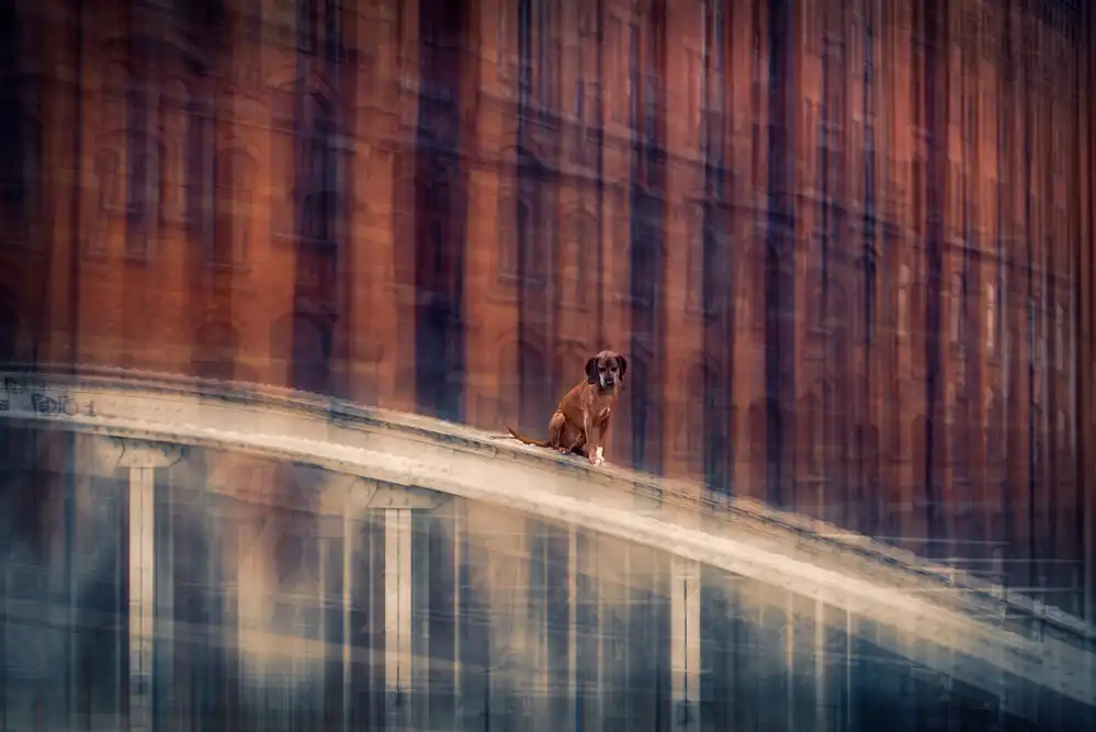 Willers, Heike: No way out (Vol.II)