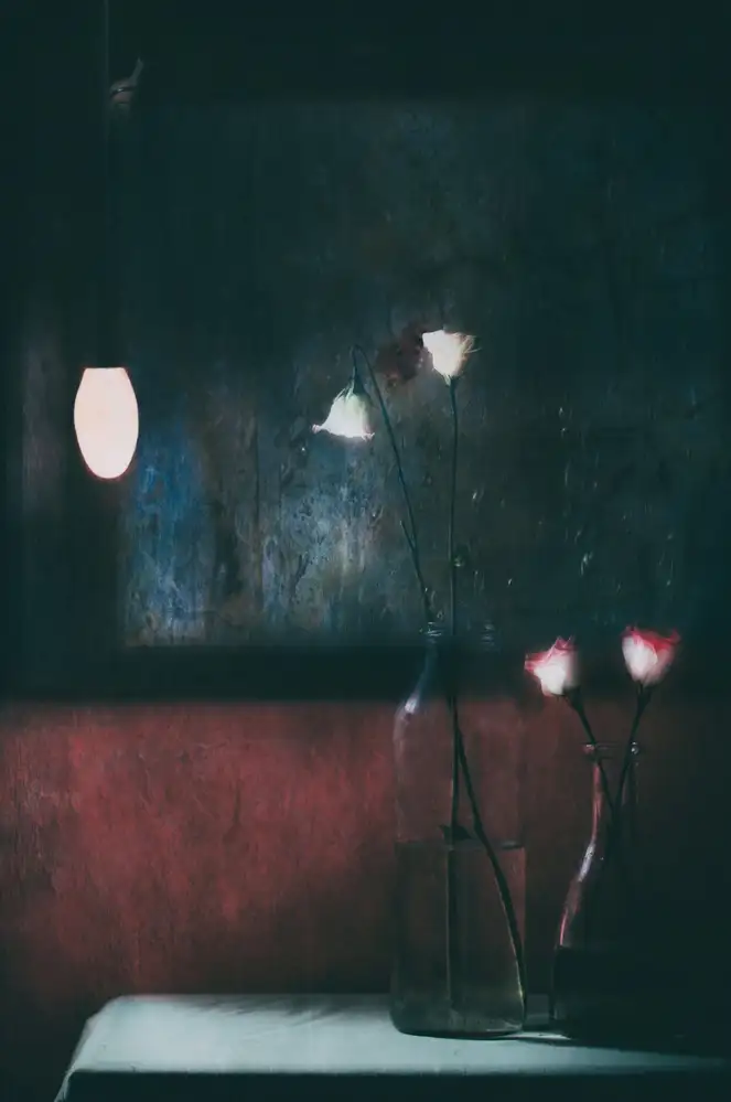 Devos, Delphine: Notte d'inverno e penso alla primavera...