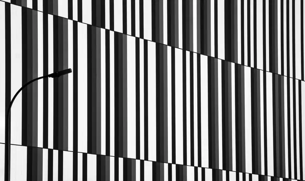 Joosten, Lus: barres de code