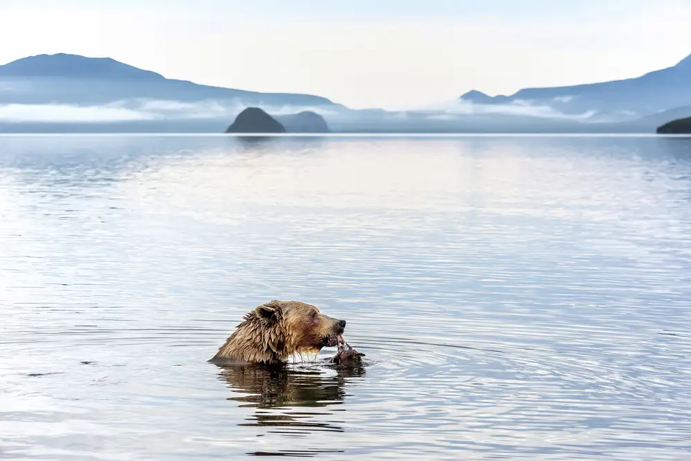 DAmico, Giuseppe: Kurile Lake
