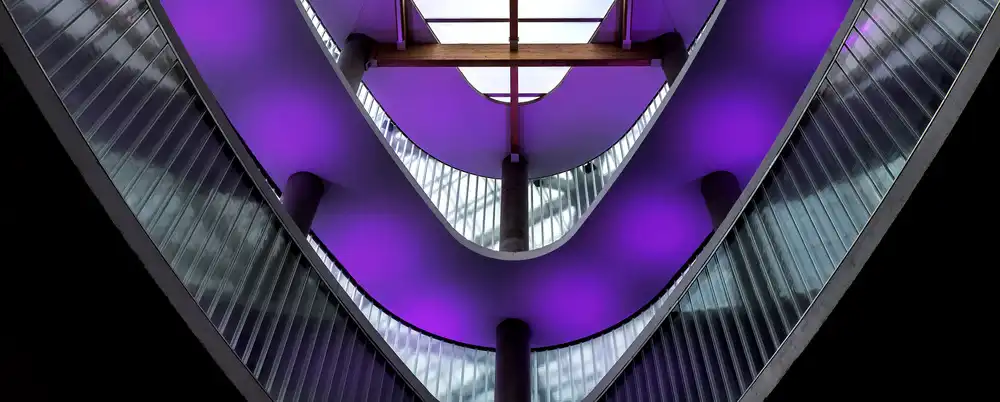 Joosten, Lus: bandes violettes