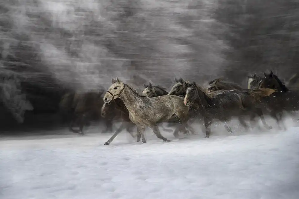 Malovrh, Milan: idilliaco invernale