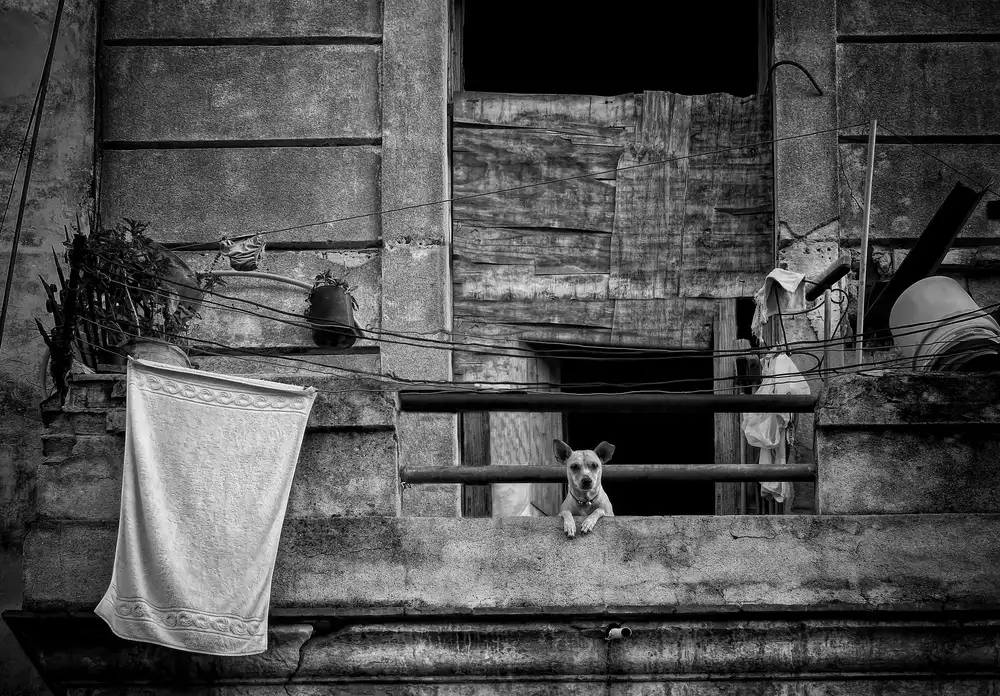 Labagnara, Roxana: Balkon