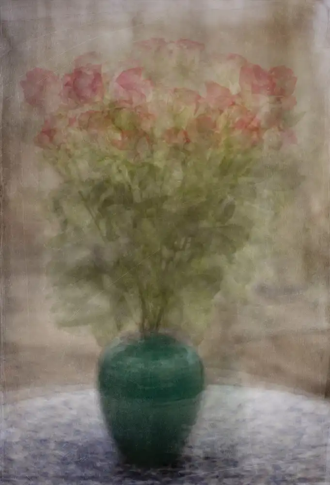 Holmström, Katarina: Rose di martedì
