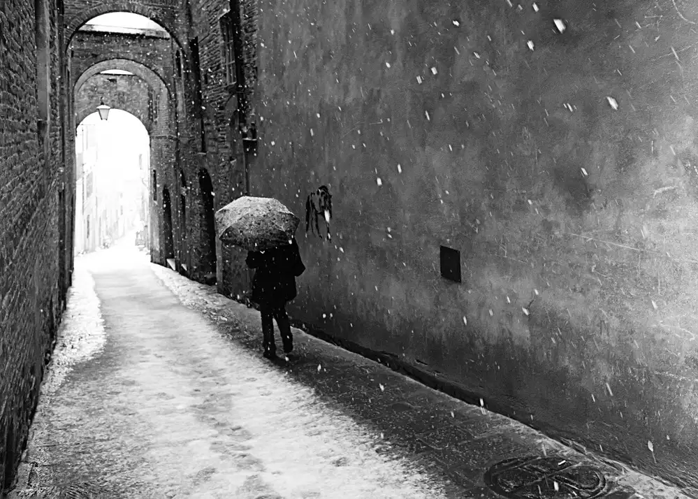 Domenichi, Luca: nordic walking