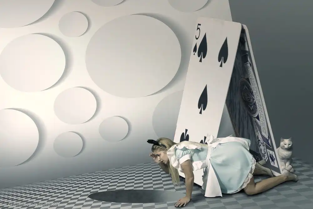 Diepenbroek, von Christine: The rabbit hole