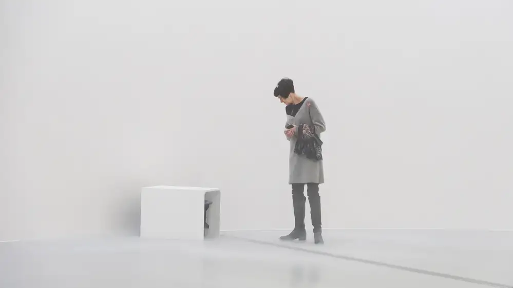 Joosten, Lus: est-ce une machine à brouillard ?
