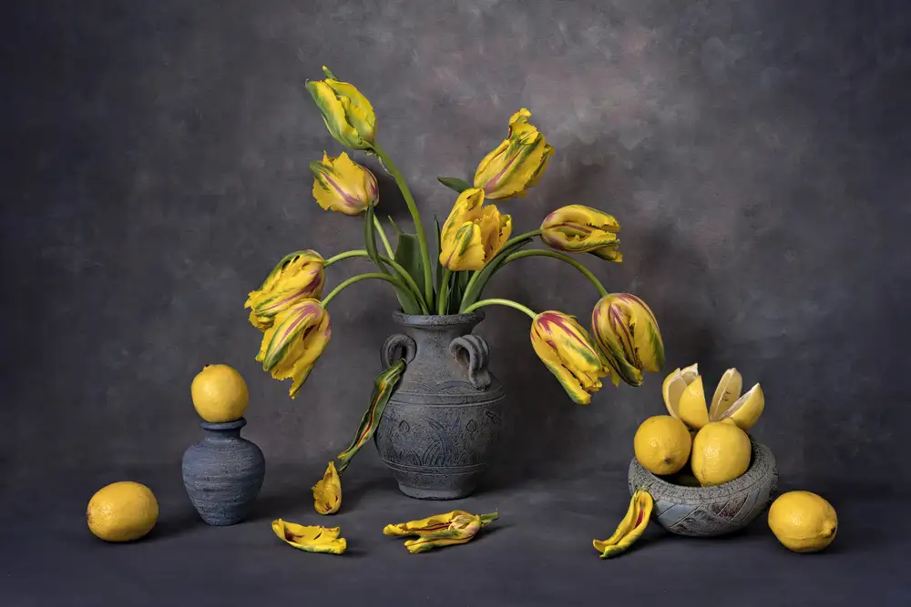 Jacobs, Lydia: Tulipes jaunes et rouges