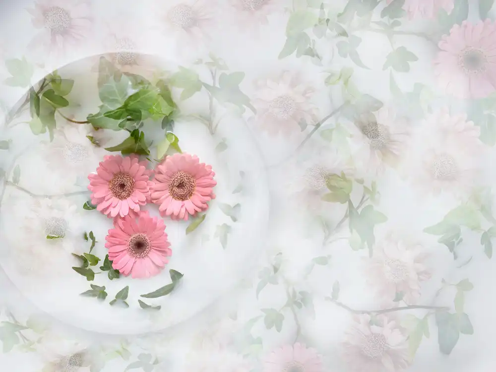 Westum, Heidi: Sur une assiette
