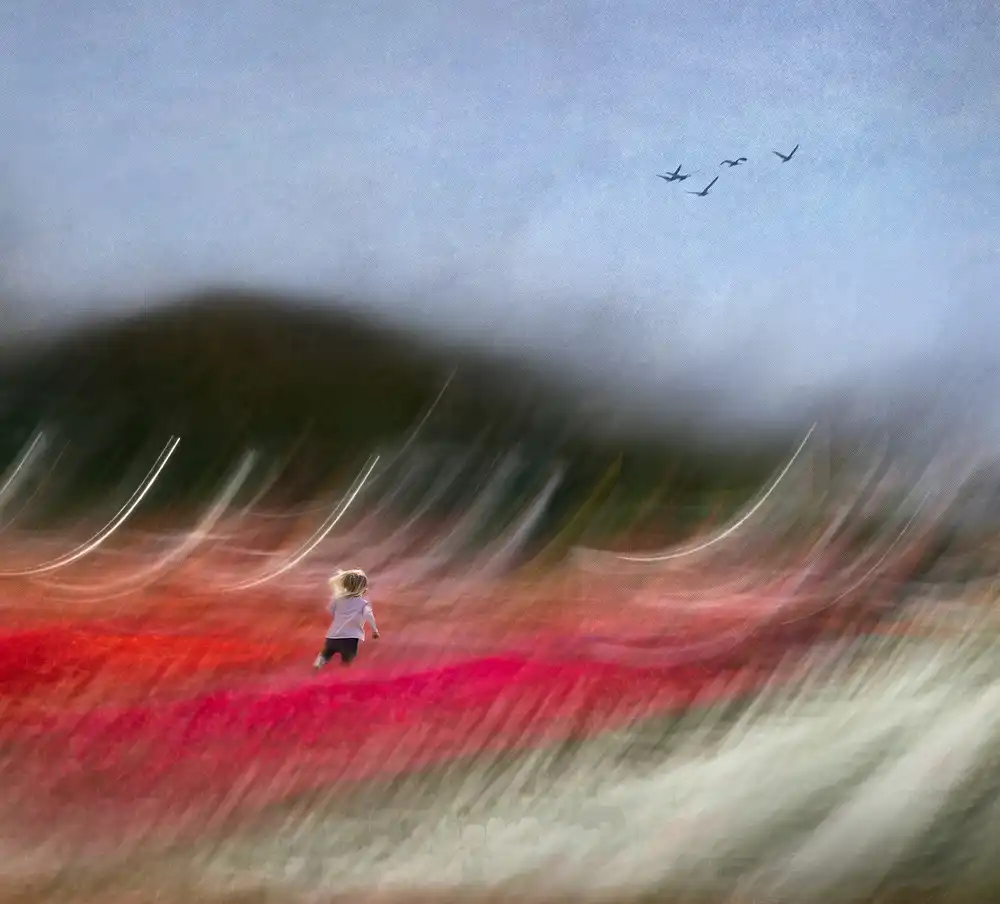 Dou, Shenshen: Oh viento