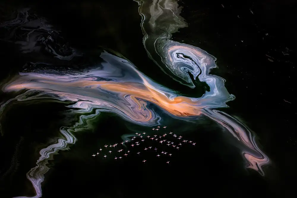 Wei, and Siyu: Flamants roses et créature mystérieuse sur le lac Magadi