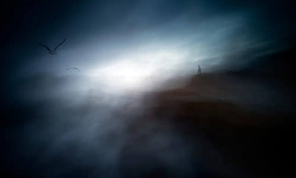 Buye, Pascual Santiago: Misty morning on the coast of the birds