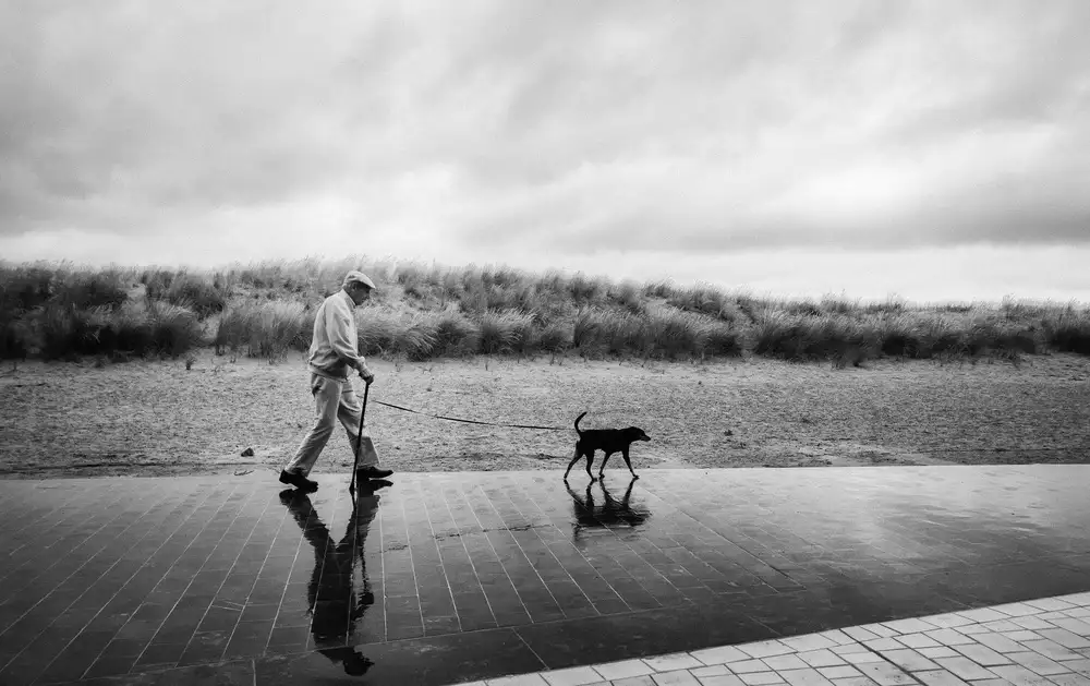 Flour, Jef: A man, a dog