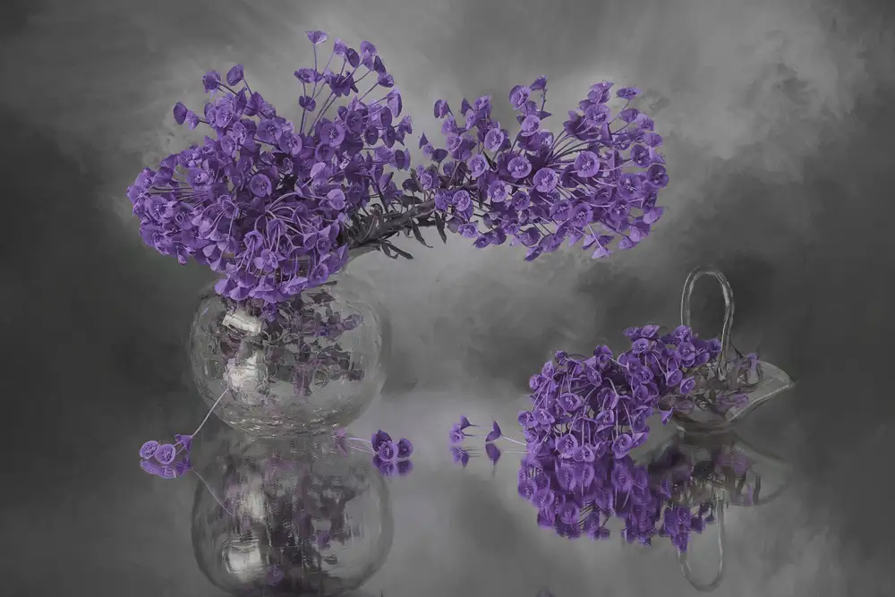 Jacobs, Lydia: Lavender Dream