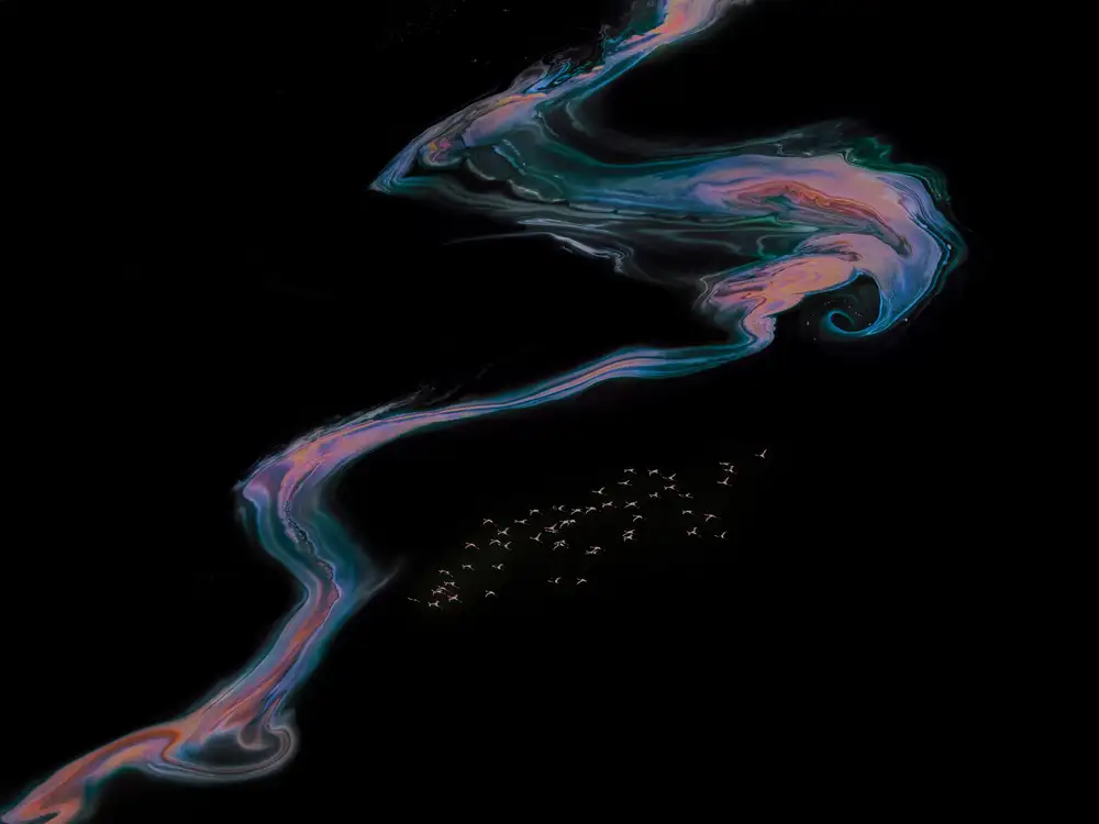 Wei, and Siyu: flamants roses dans un Galaxy 3