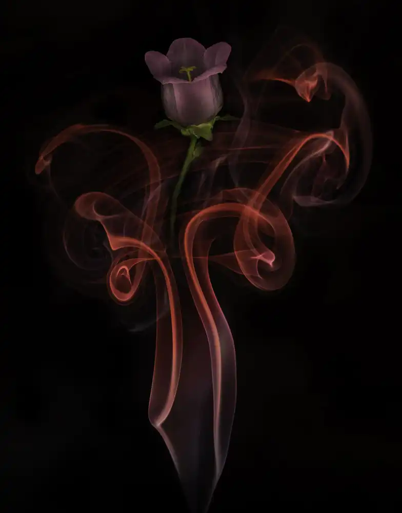 Yakubovitch, Azriel: Danza de la campana campanula