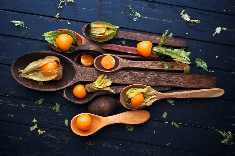 Karina, Aleksandrova: Spoons&Physalis