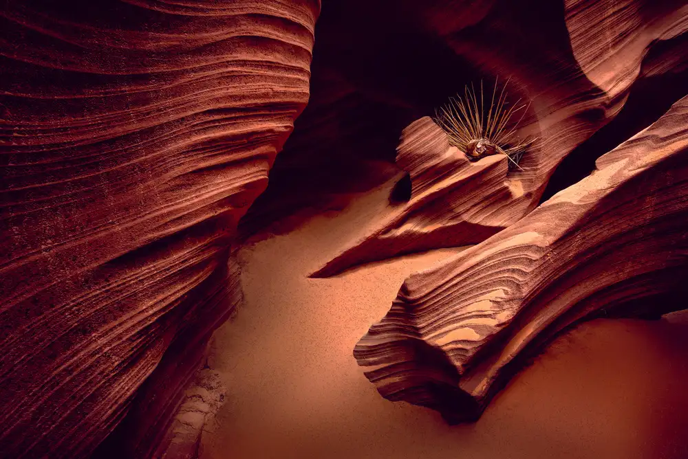 Kreiten, Mike: Canyon du serpent à sonnette