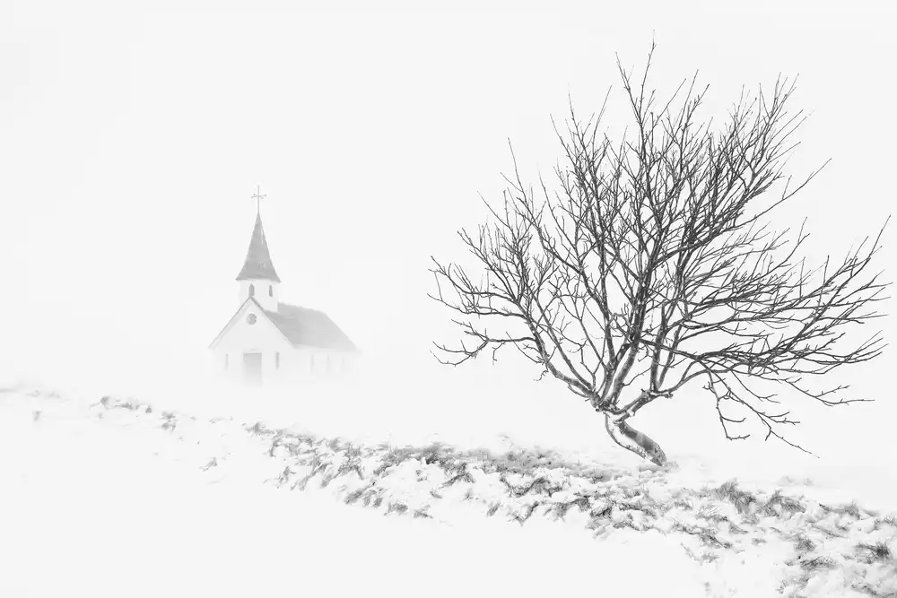 Xu, Tony: En tormenta de nieve