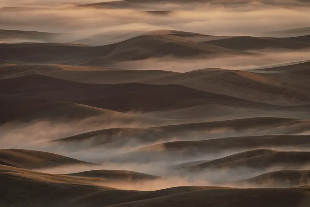 Jacobs, Lydia: Tôt le matin du printemps à Palouse