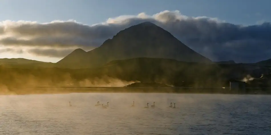 Kravanja, Jure: Swan lake