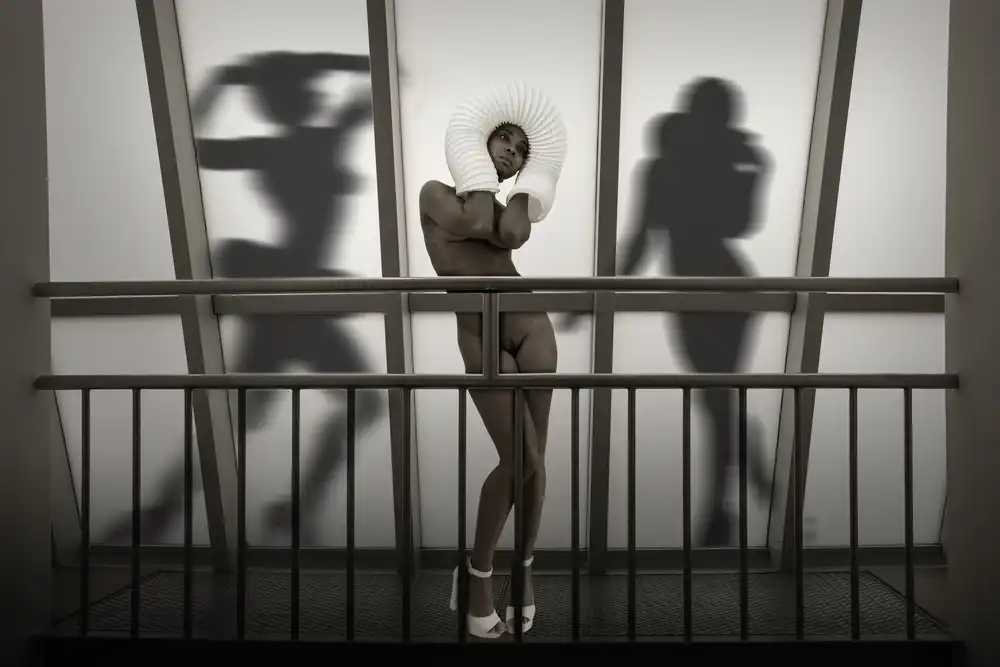 Diepenbroek, von Christine: Shadow cabinet III