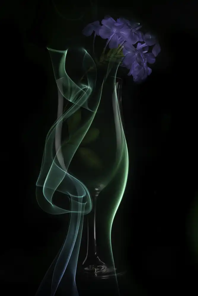 Yakubovitch, Azriel: Flor en vidrio
