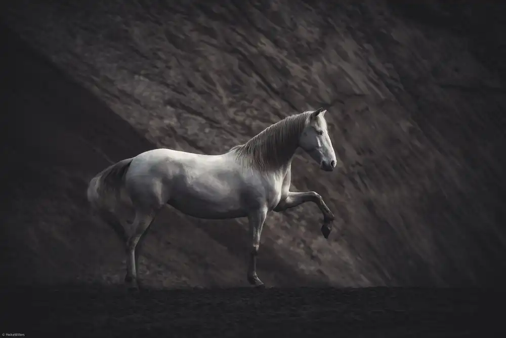 Willers, Heike: SOLITARIO