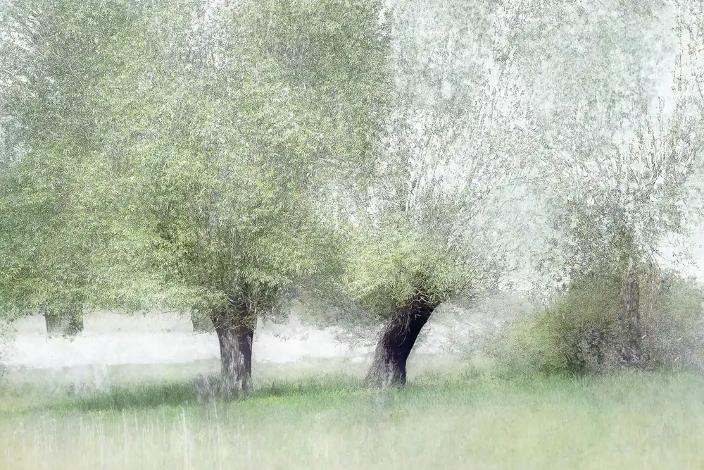 Talen, Nel: Verde giovane