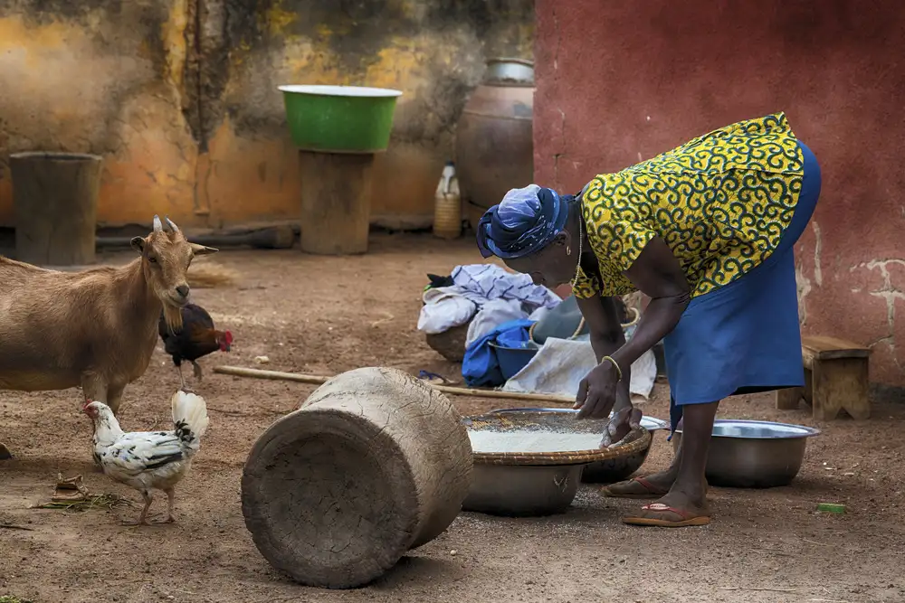 Pandolfini, Sergio: El trabajo en África es la mujer.