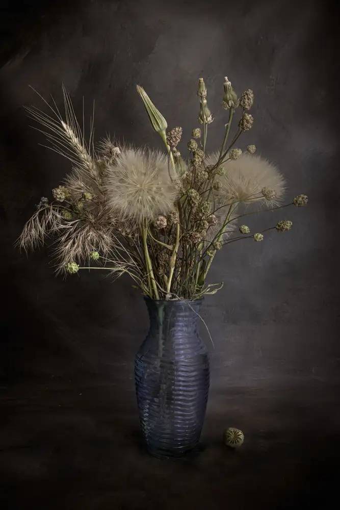 Kiral, Cicek: Fleurs sauvages