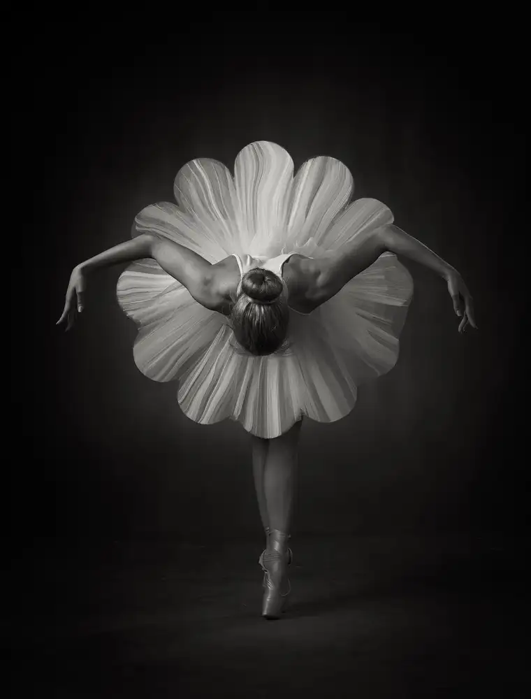 Studio, Catchlight: Květinový balet