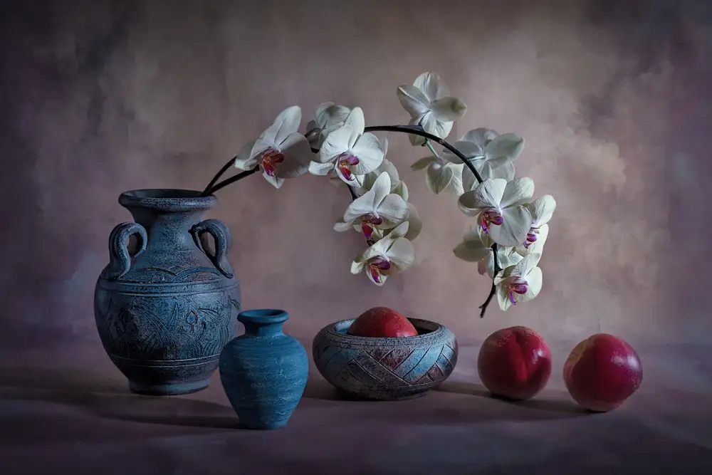 Jacobs, Lydia: Orchidea e Nettarina