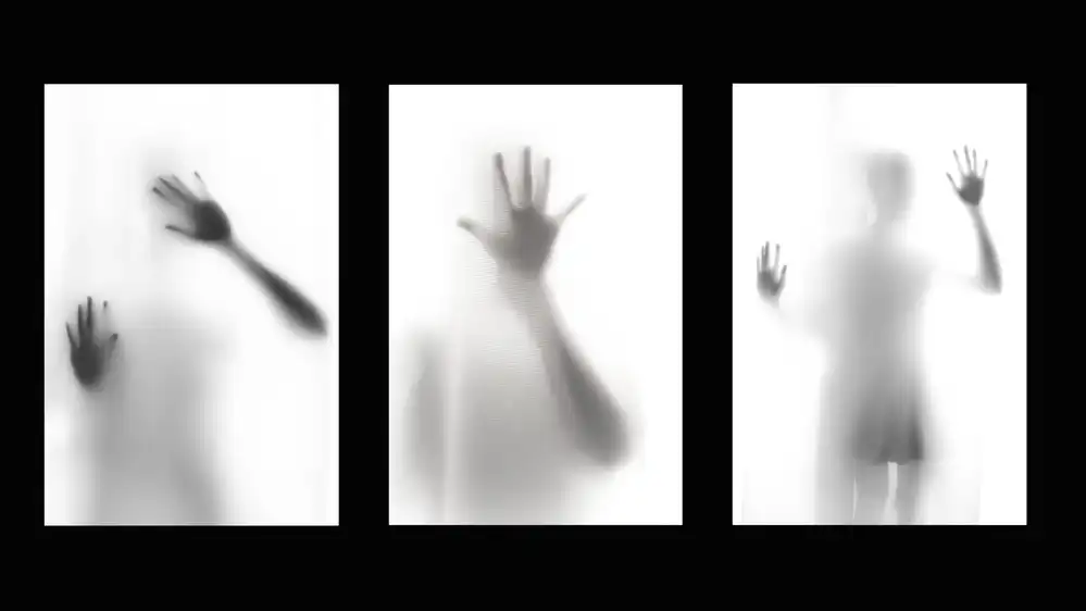 Saeidinia, Afshin: HANDS