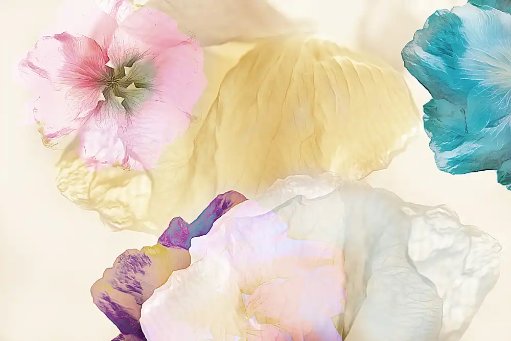 Shumilova, Ludmila: Ätherische Blumen