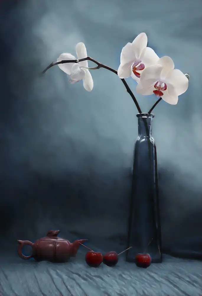 Jacobs, Lydia: Orchidée et cerise