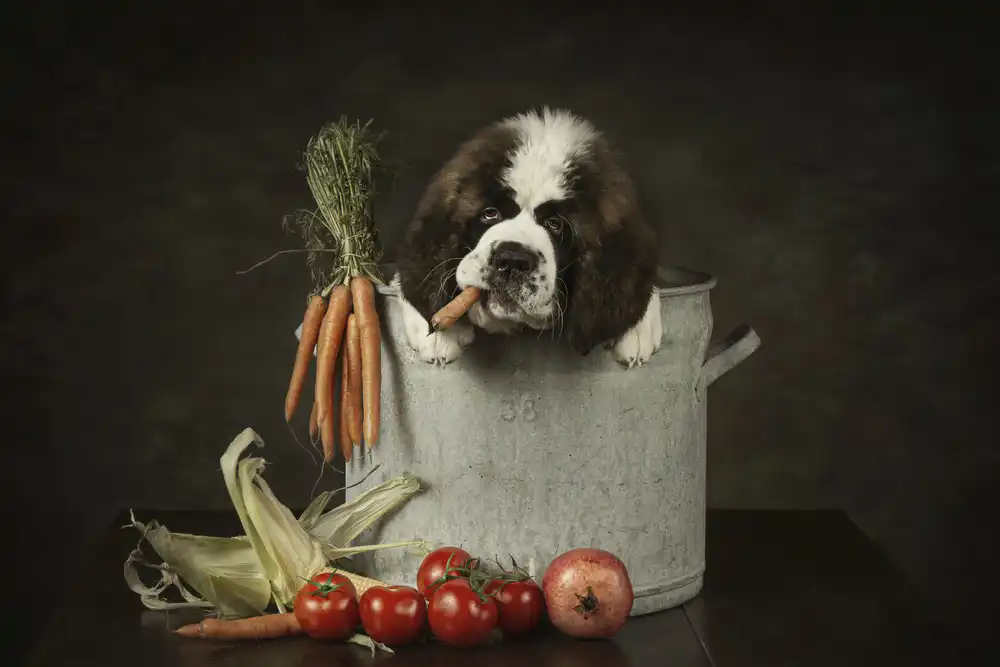 Kayen-Mouthaan, Carola: Puppy love