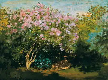 Monet, Claude: Kvetoucí šeříky