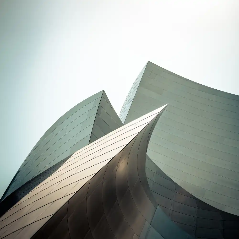 Buder, Stefan: Walt Disney Concert Hall - estudio I
