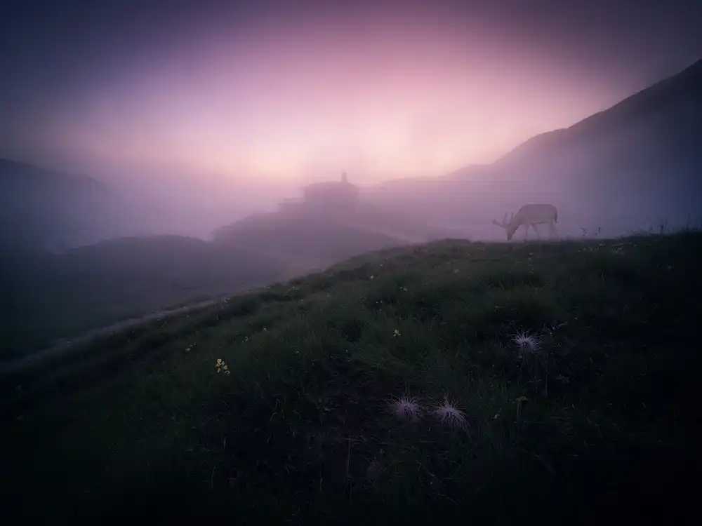 Z, Bingo: Ce brouillard écarlate